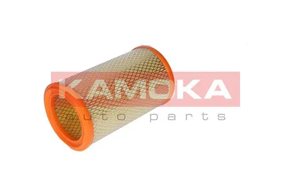 Air Filter (F208101)
