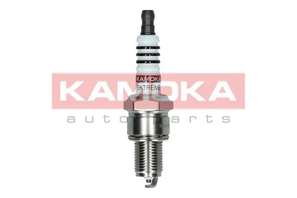 Spark Plug (7090517)