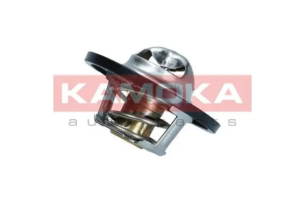 Thermostat, coolant (7710072)