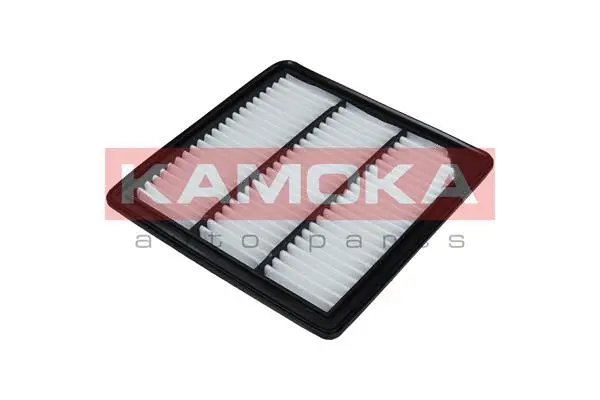 Air Filter (F238101)