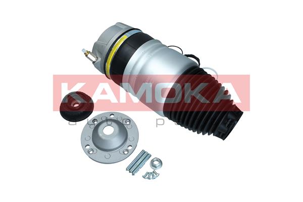 Air Spring, suspension