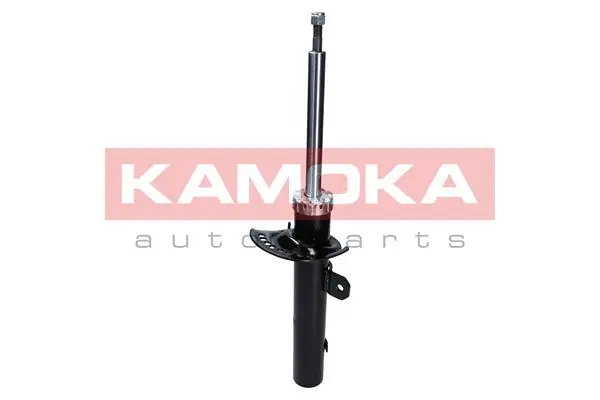 Shock Absorber (2000300)
