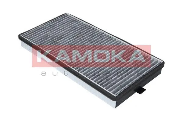 Filter, cabin air (F500701)