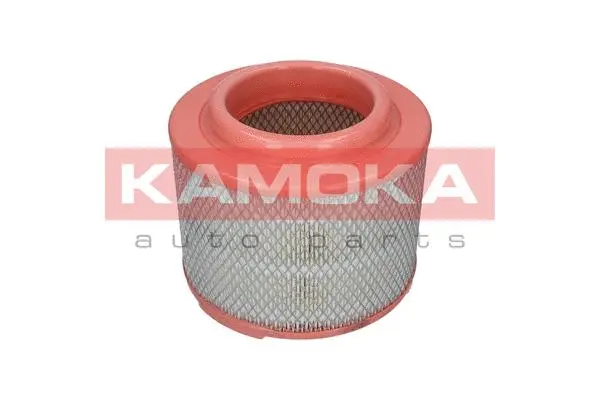 Air Filter (F236201)