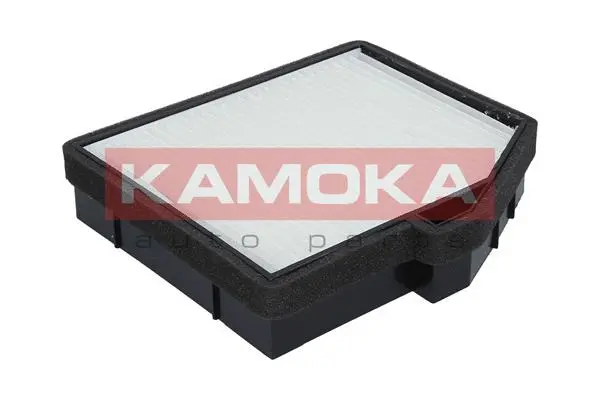 Filter, cabin air (F415401)