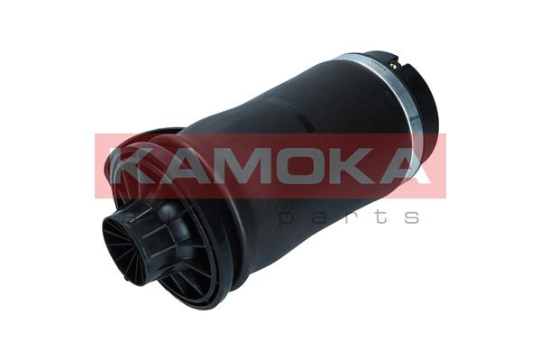 Air Spring, suspension