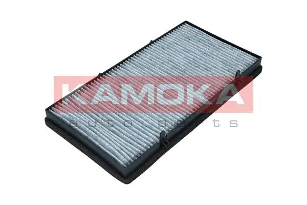 Filter, cabin air (F519101)
