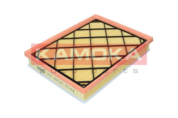 Air Filter (F256201)