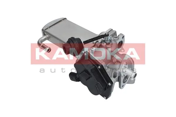 EGR Module