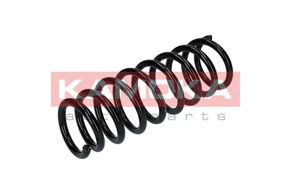 Suspension Spring (2120293)