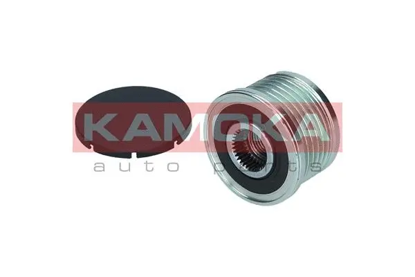 Alternator Freewheel Clutch