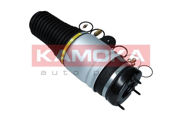 Air Spring, suspension