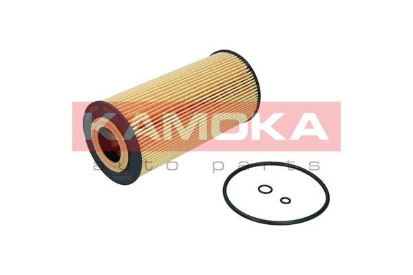 Oil Filter (F121601)