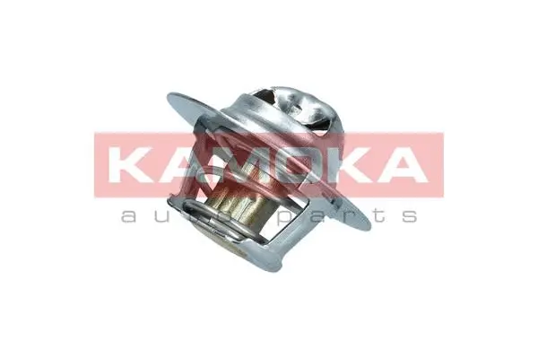 Thermostat, coolant (7710076)