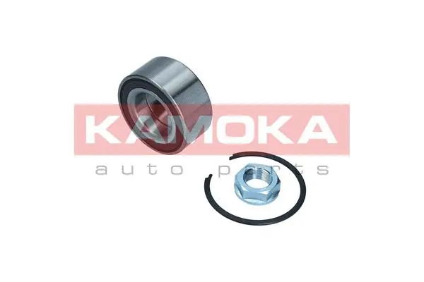 Wheel Bearing Kit (5600119)