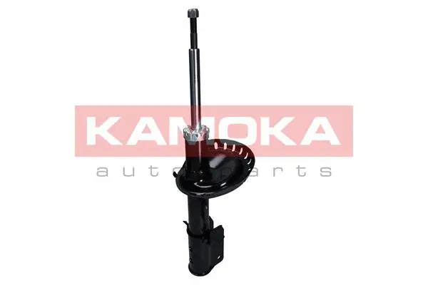 Shock Absorber (2000525)