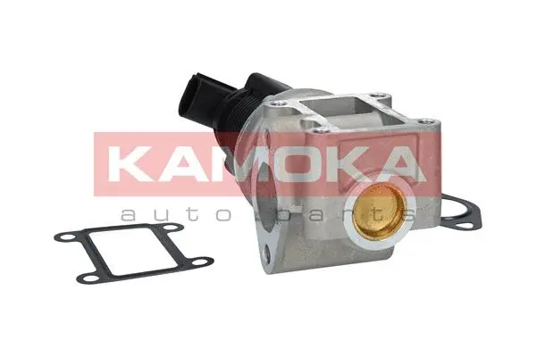 EGR Valve
