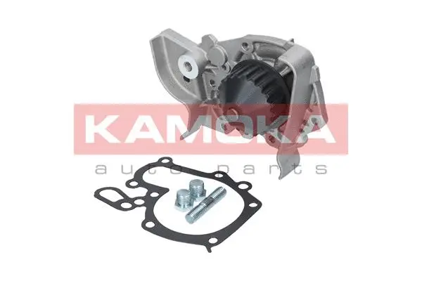 Water Pump, engine cooling (T0243)