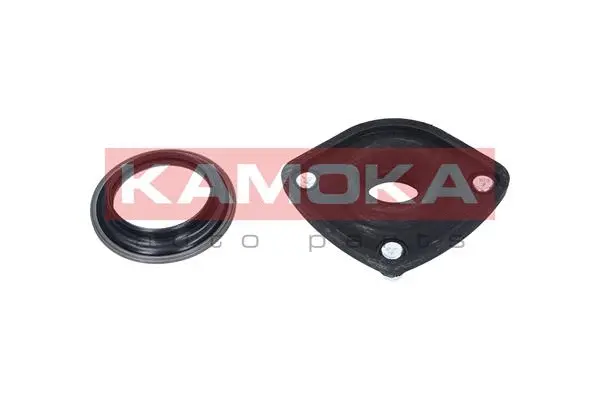 Repair Kit, suspension strut support mount (209051)