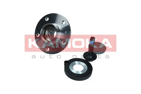 Wheel Bearing Kit (5500172)