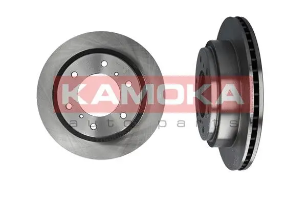 Brake Disc (1031011)