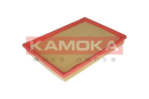 Air Filter (F219001)