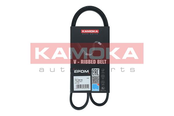 V-Ribbed Belt (7013019)