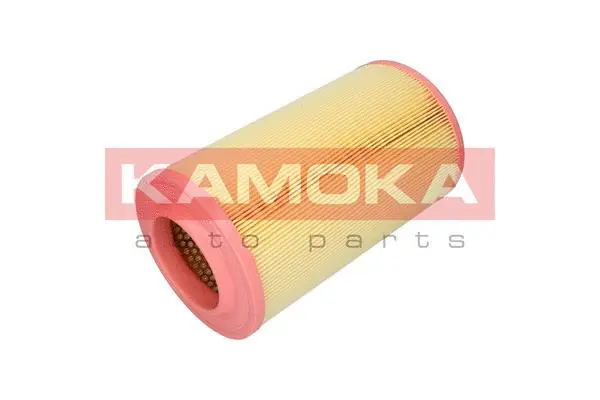 Air Filter (F236301)