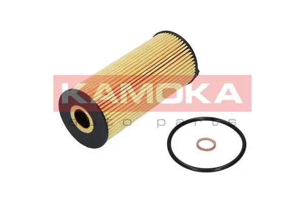 Oil Filter (F110901)