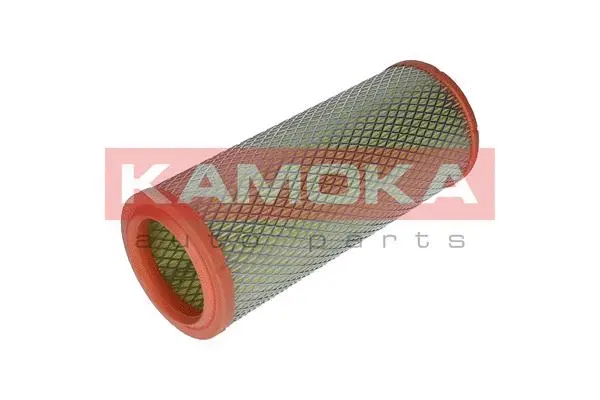 Air Filter (F235601)