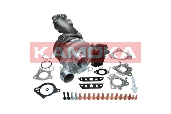 Charger, charging (supercharged/turbocharged) (8600047)