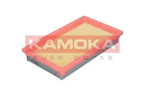 Air Filter (F211901)