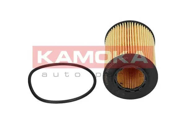 Oil Filter (F102801)
