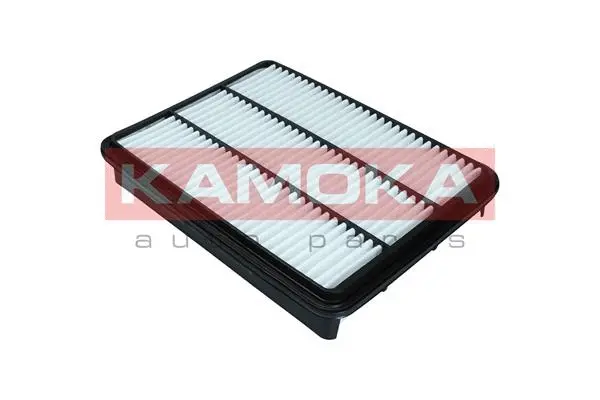 Air Filter (F248701)