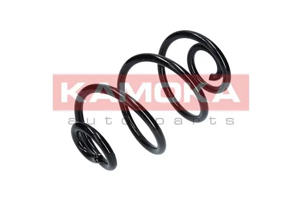 Suspension Spring (2120113)