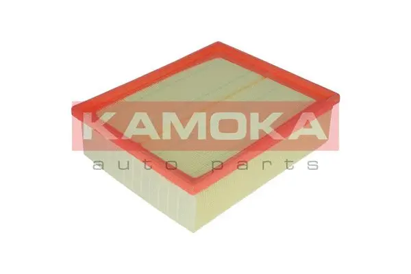 Air Filter (F206501)