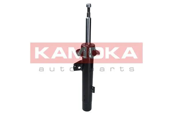 Shock Absorber (2000296)