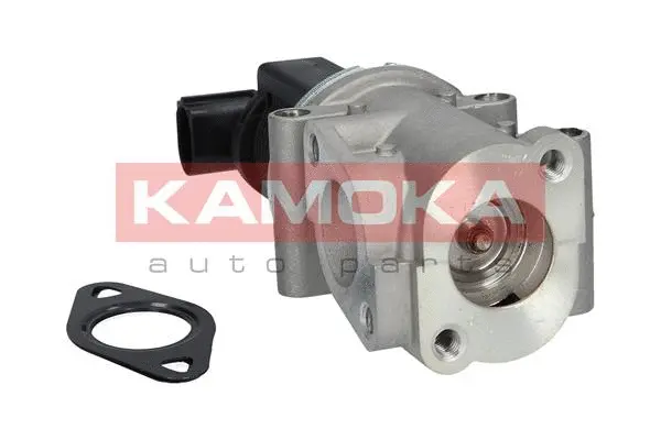 EGR Valve