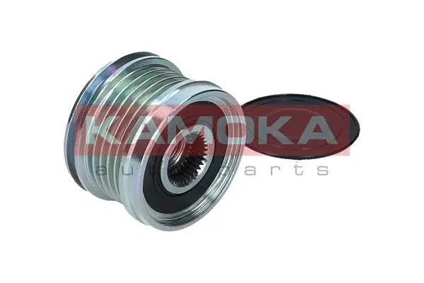 Alternator Freewheel Clutch