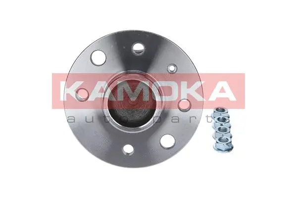 Wheel Bearing Kit (5500080)