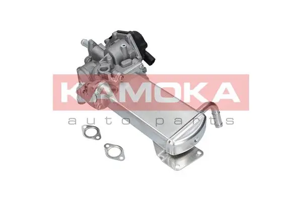 EGR Module