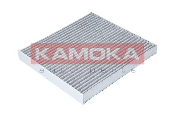 Filter, cabin air (F505401)