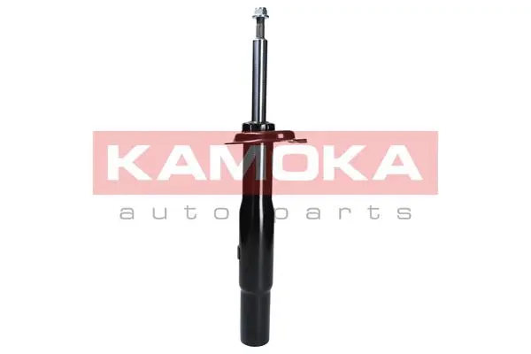 Shock Absorber (2000036)