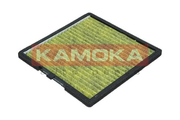 Filter, cabin air (6080131)