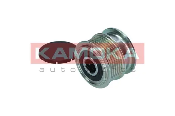 Alternator Freewheel Clutch
