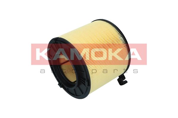 Air Filter (F254901)