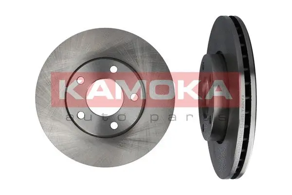 Brake Disc (1031122)