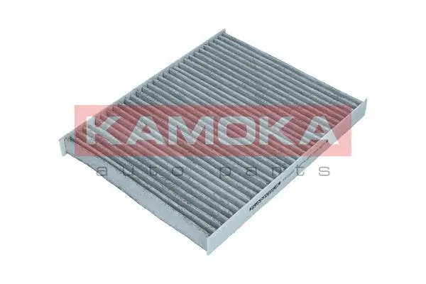 Filter, cabin air (F512001)