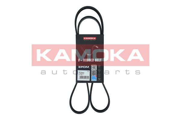 V-Ribbed Belt (7016097)