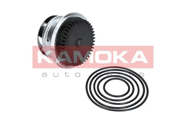 Water Pump, engine cooling (T0273)